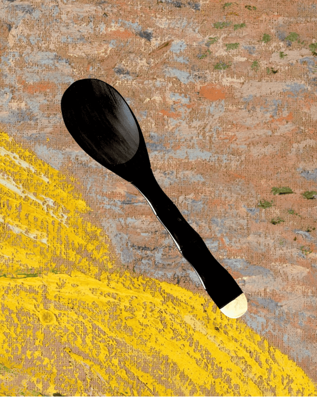 Bamboo handle wooden condiment spoons - Sundara Joon