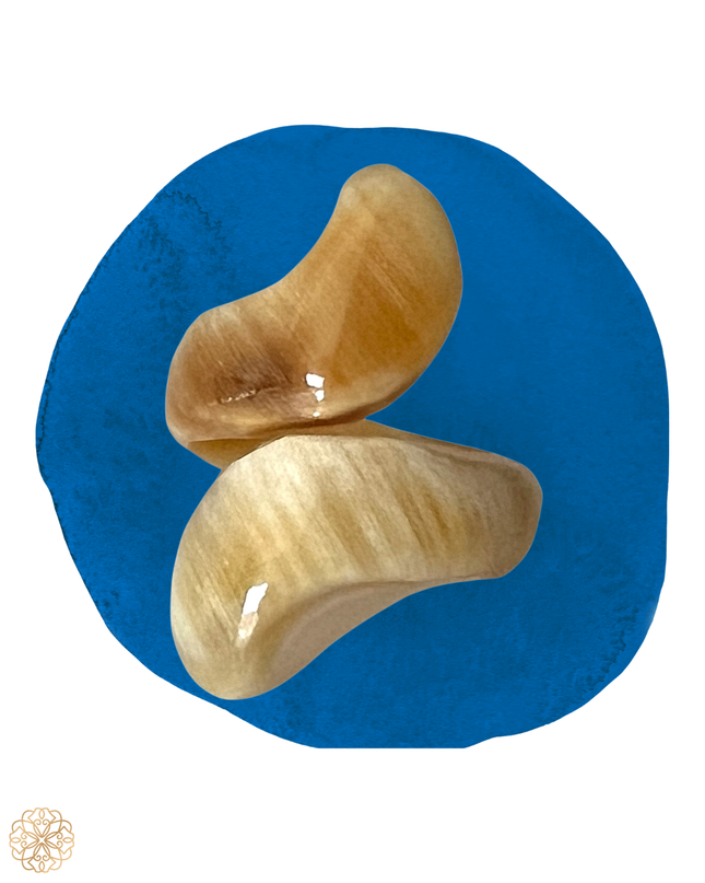 Swirl ring in earth tones - Sundara Joon