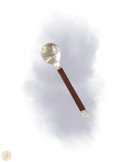 Mother of pearl condiment spoon with ebony handle - Sundara Joon