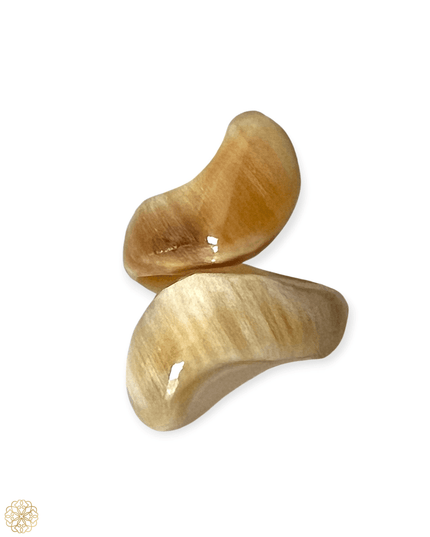 Swirl ring in earth tones - Sundara Joon