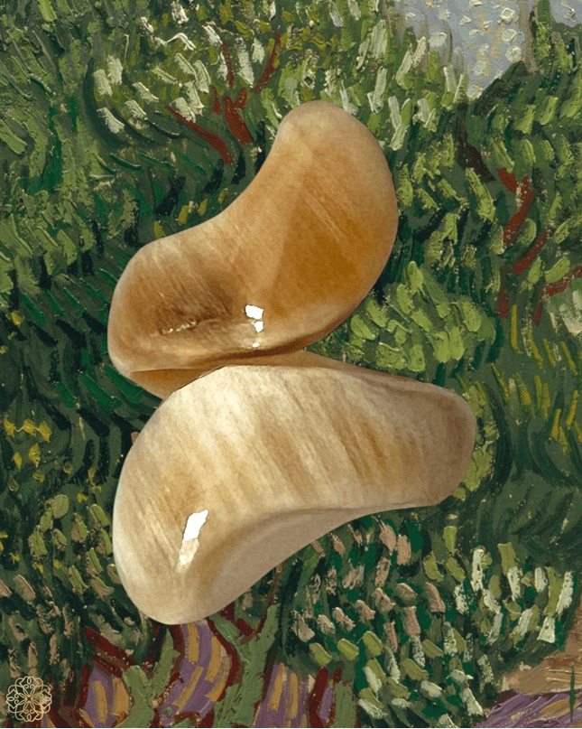 Swirl ring in earth tones - Sundara Joon